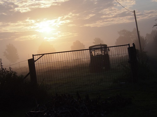 Nebel im Moor